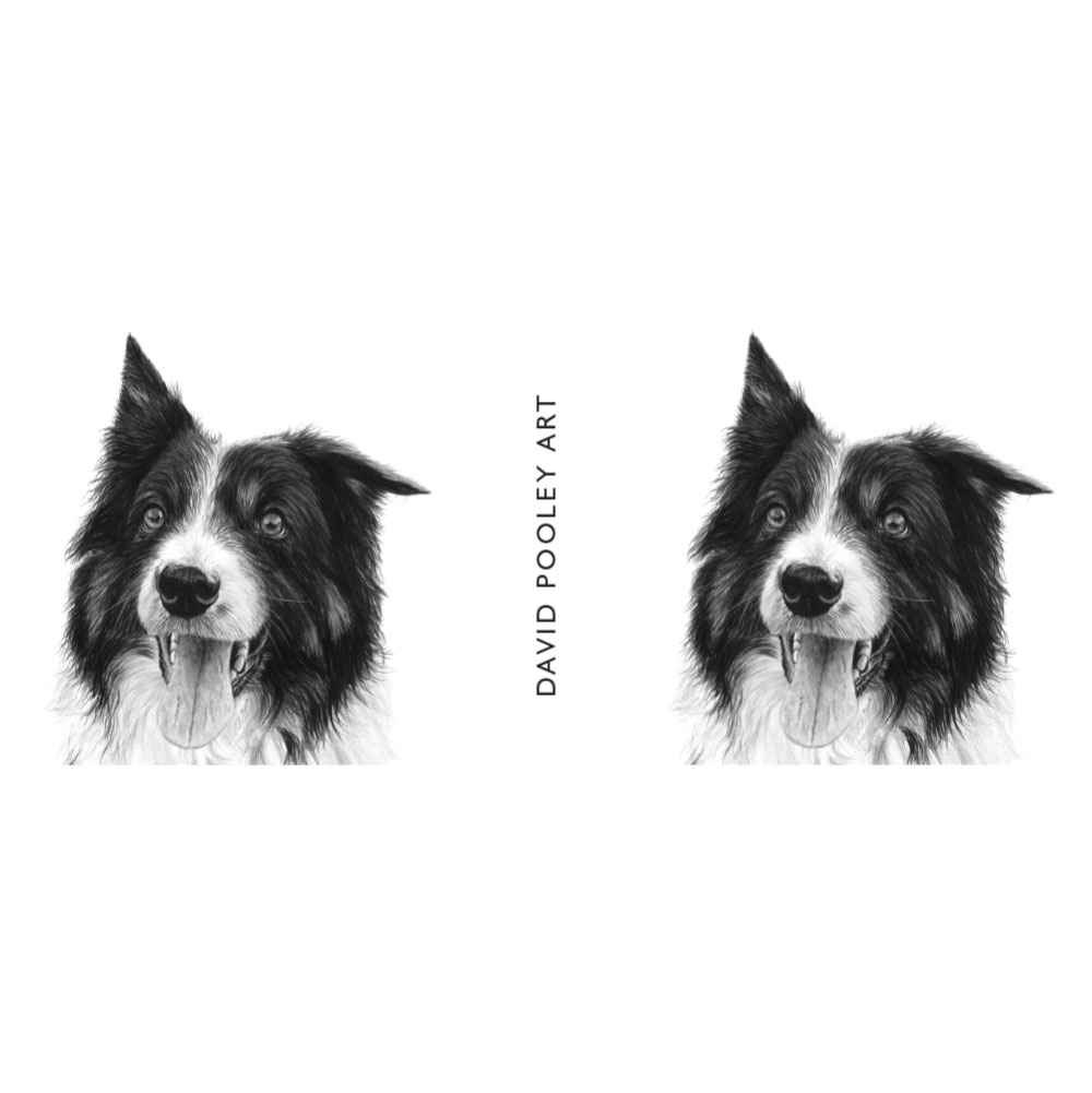 Border Collie Mug 2 Border Collie Mug - Image 2