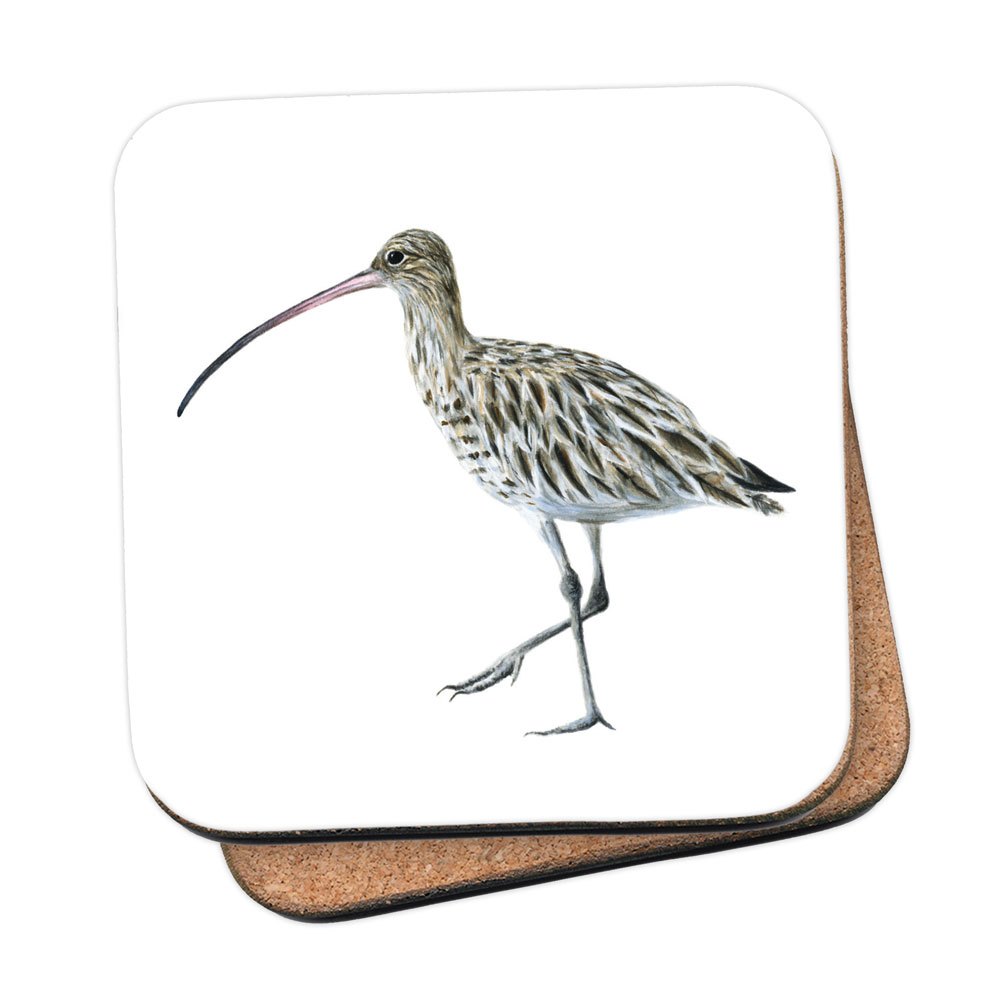 Curlew Coaster 1 Curlew Coaster