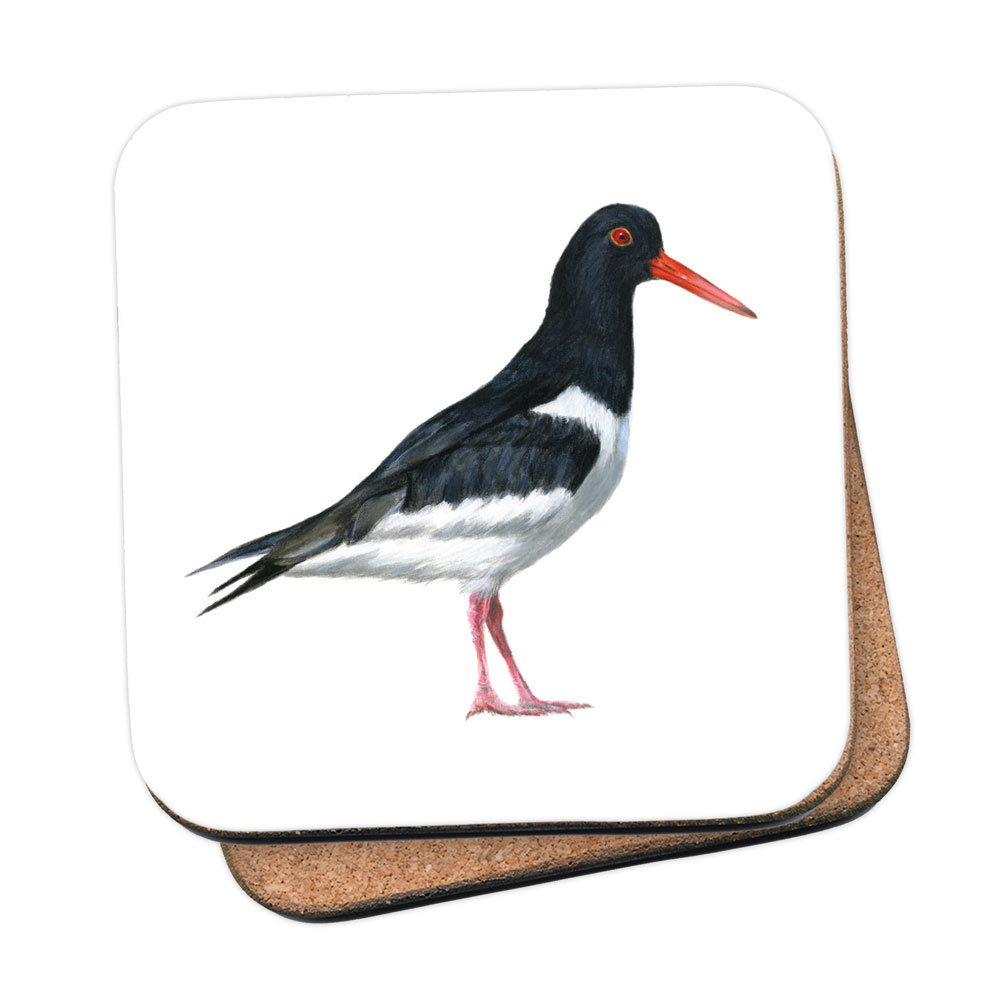 Oystercatcher Coaster 1 Oystercatcher Coaster