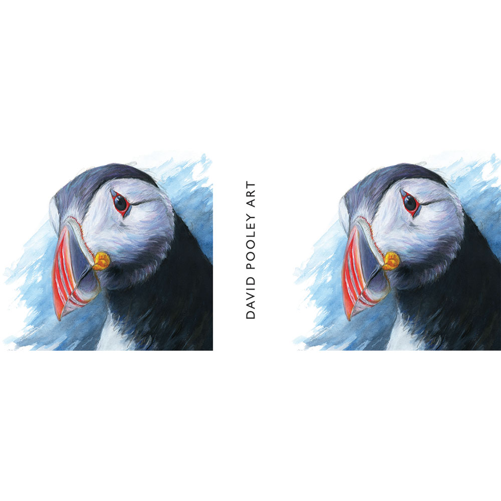 Puff Daddy Mug 2 Puffin - Wildlife Mug