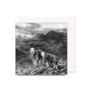 Woolly Wanderers